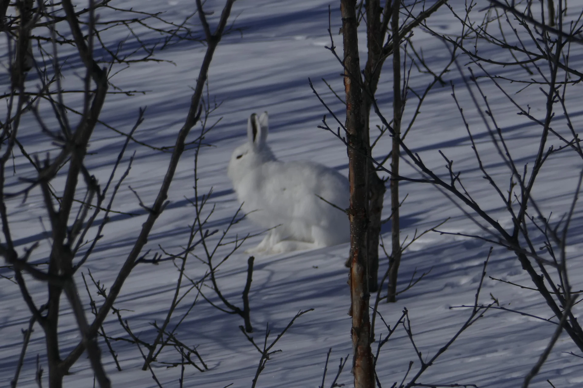 Lappland_2025 | © Filip Stößl