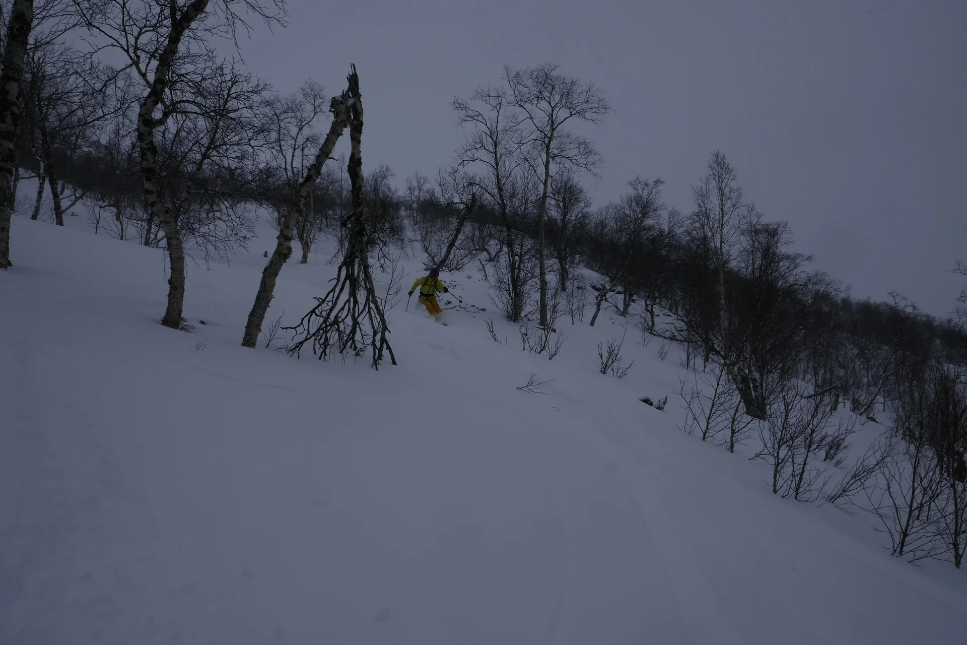 Lappland_2025 | © Filip Stößl