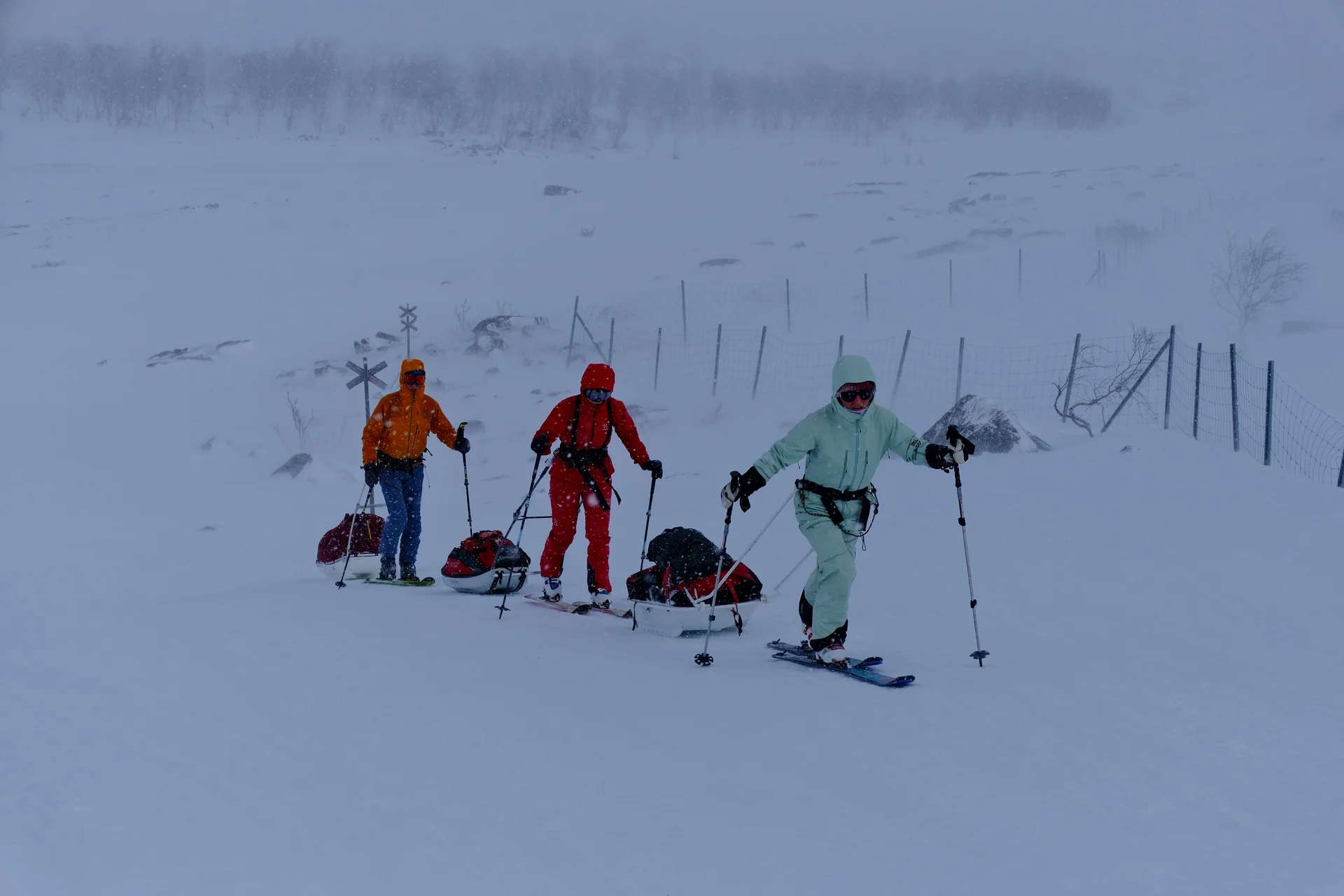 Lappland_2025 | © Filip Stößl