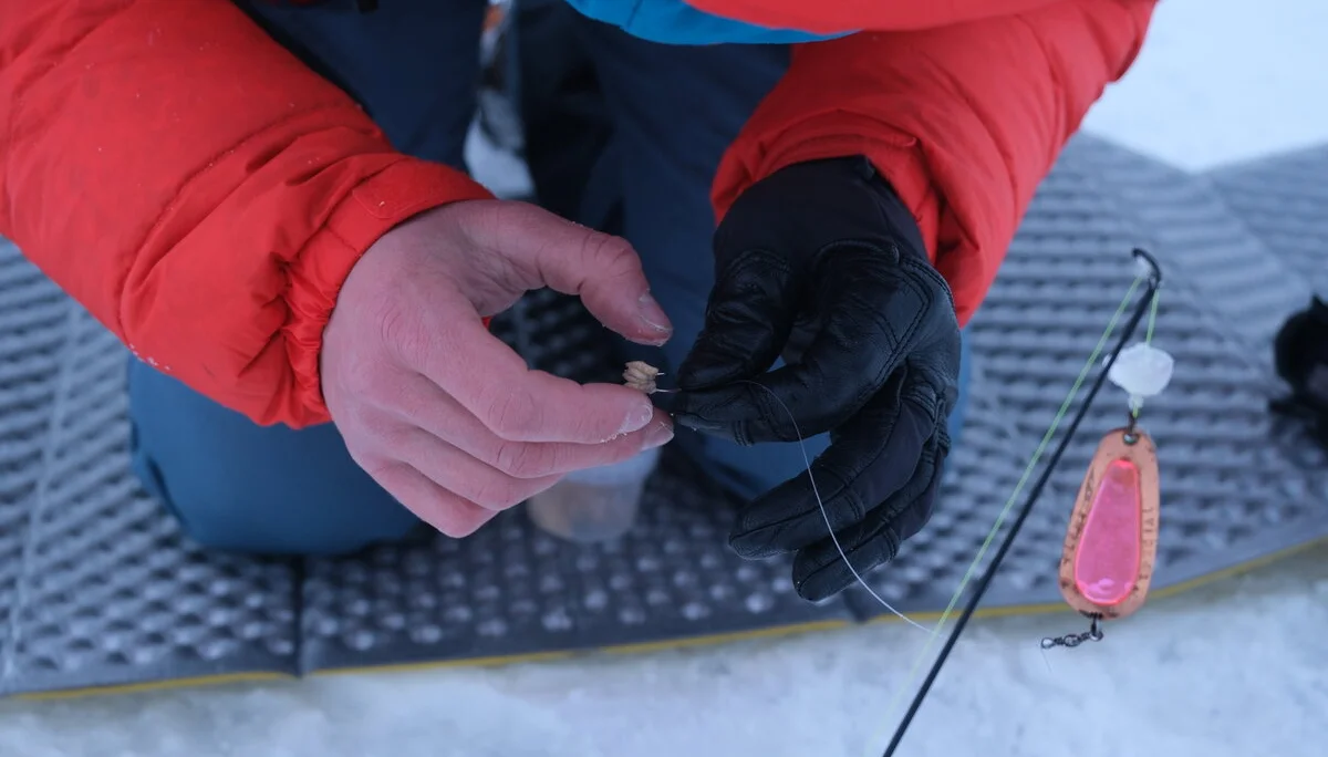 Lappland_2025 | © Filip Stößl