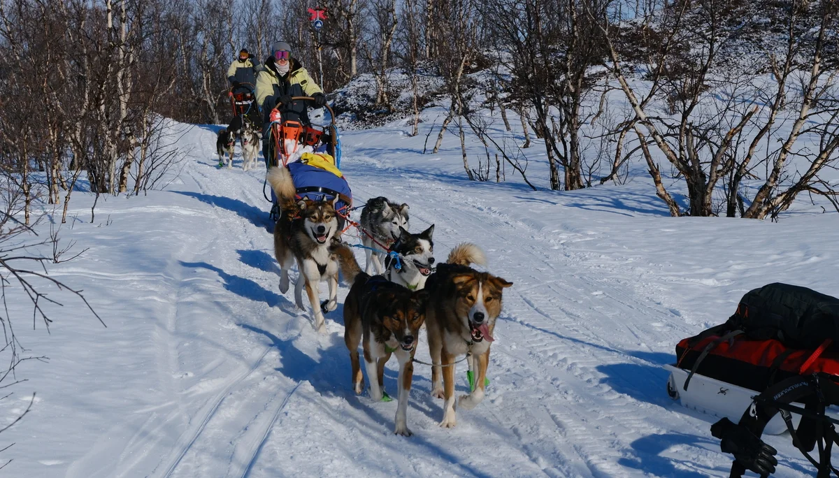 Lappland_2025 | © Filip Stößl