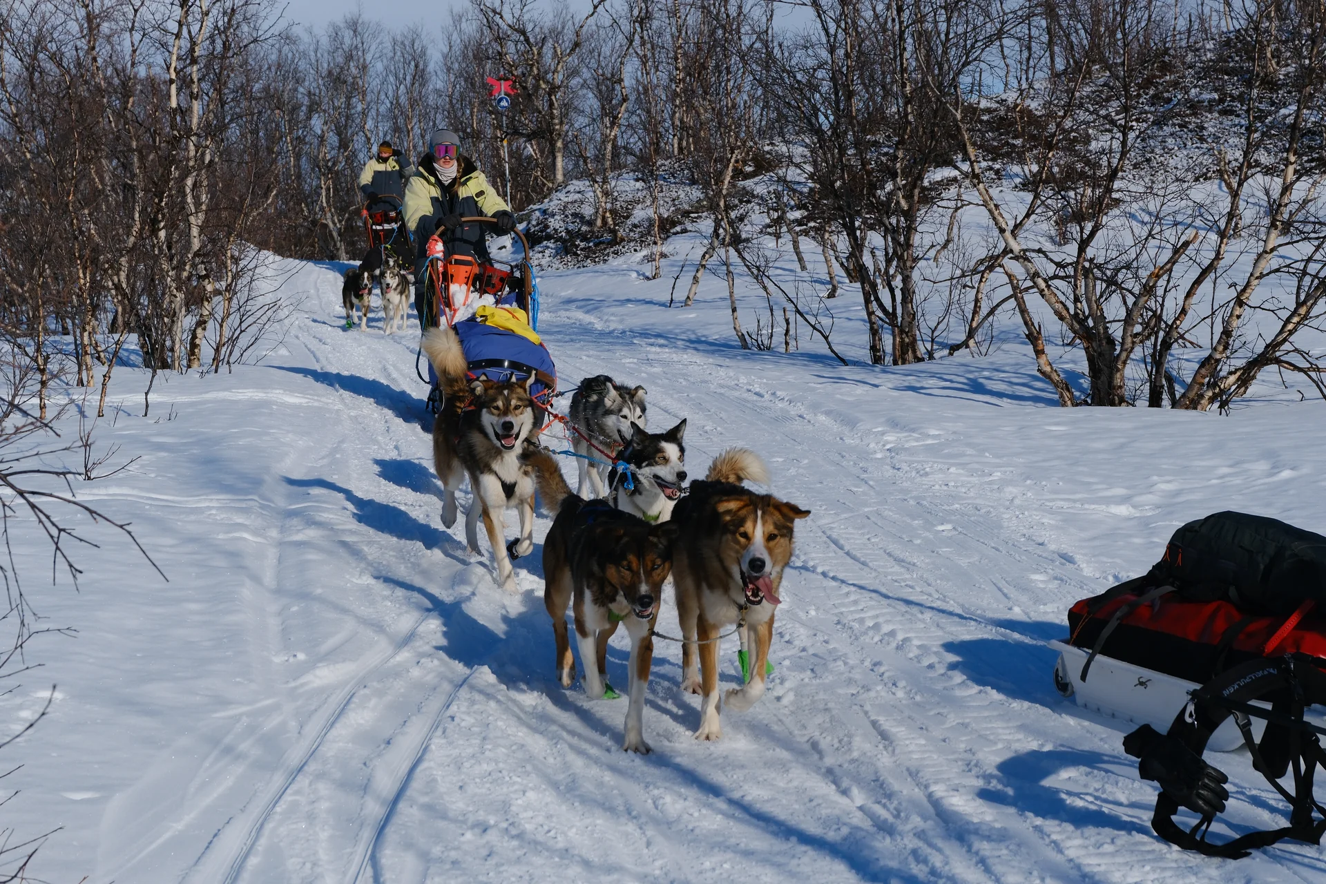 Lappland_2025 | © Filip Stößl