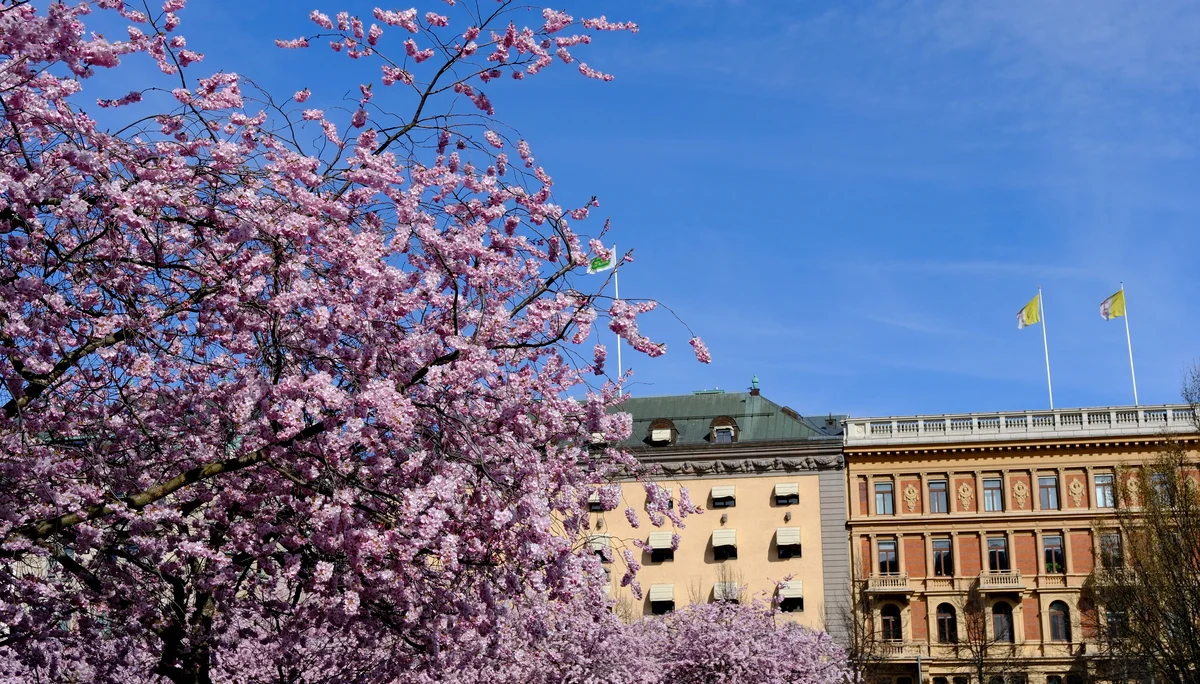 Lappland_2025 | © Filip Stößl