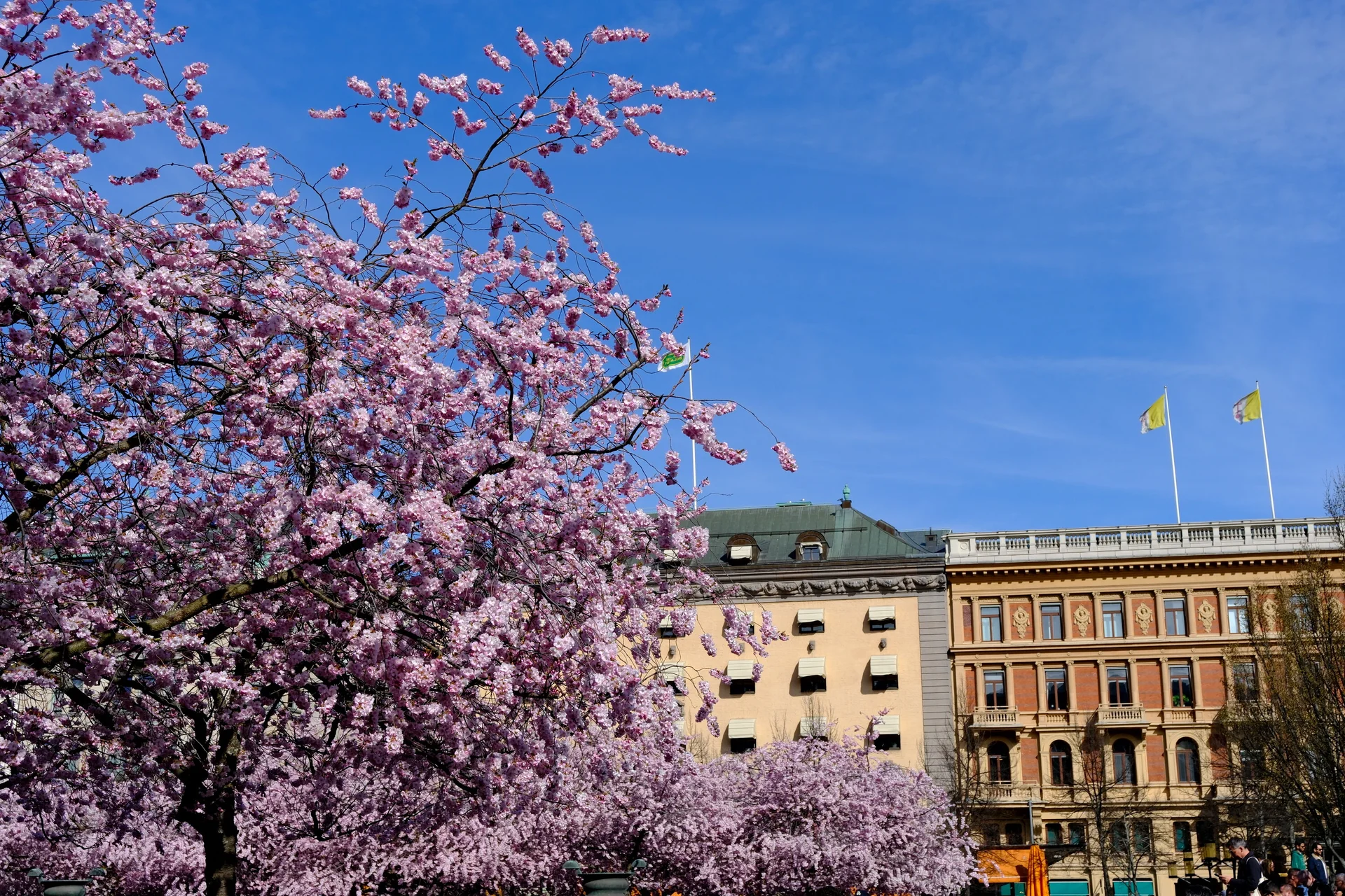 Lappland_2025 | © Filip Stößl