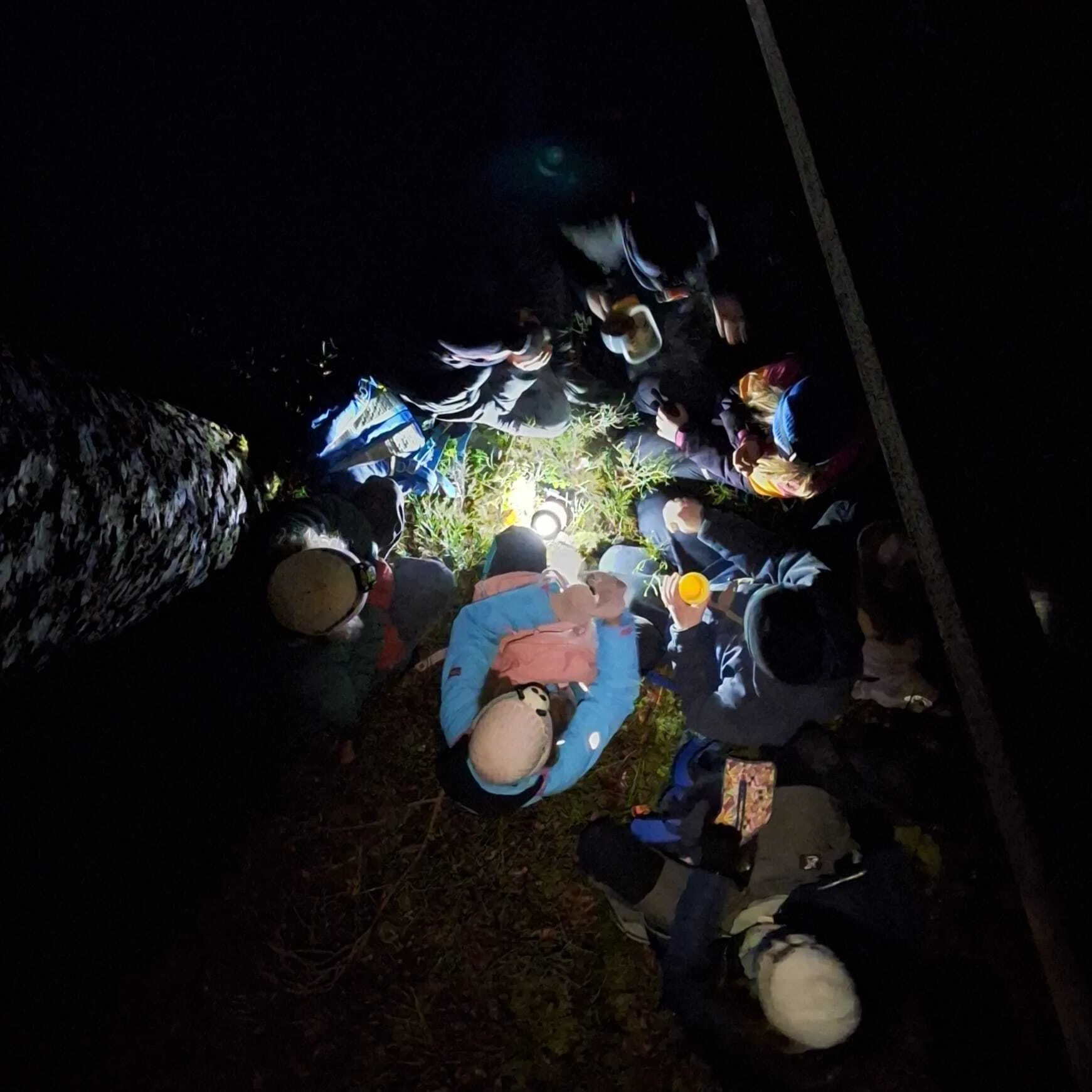 Nachtwanderung Glasersberg 2025 | © Enno Scheller