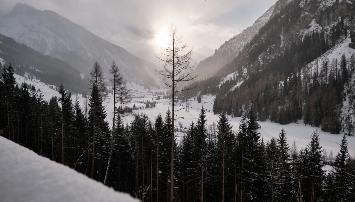 Skifahren Silvester 2024 | © Benedikt Rauh