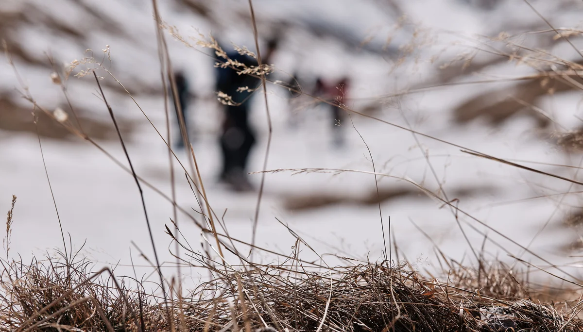 Skifahren Silvester 2024/25 | © Benedikt Rauh