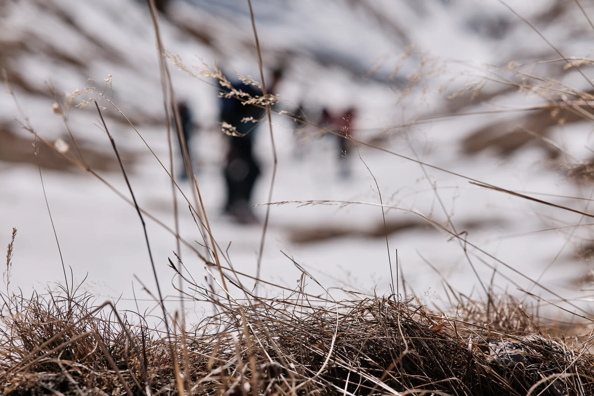Skifahren Silvester 2024/25 | © Benedikt Rauh