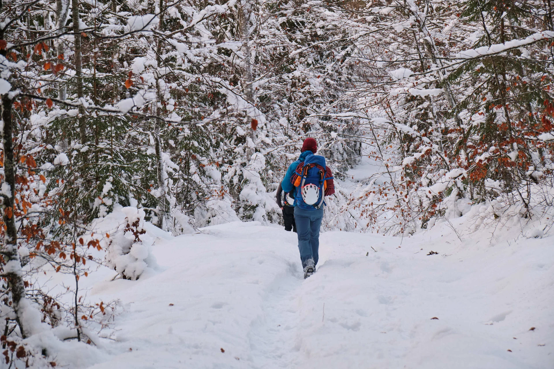 Eisklettern Karwendel | © Benedikt Rauh
