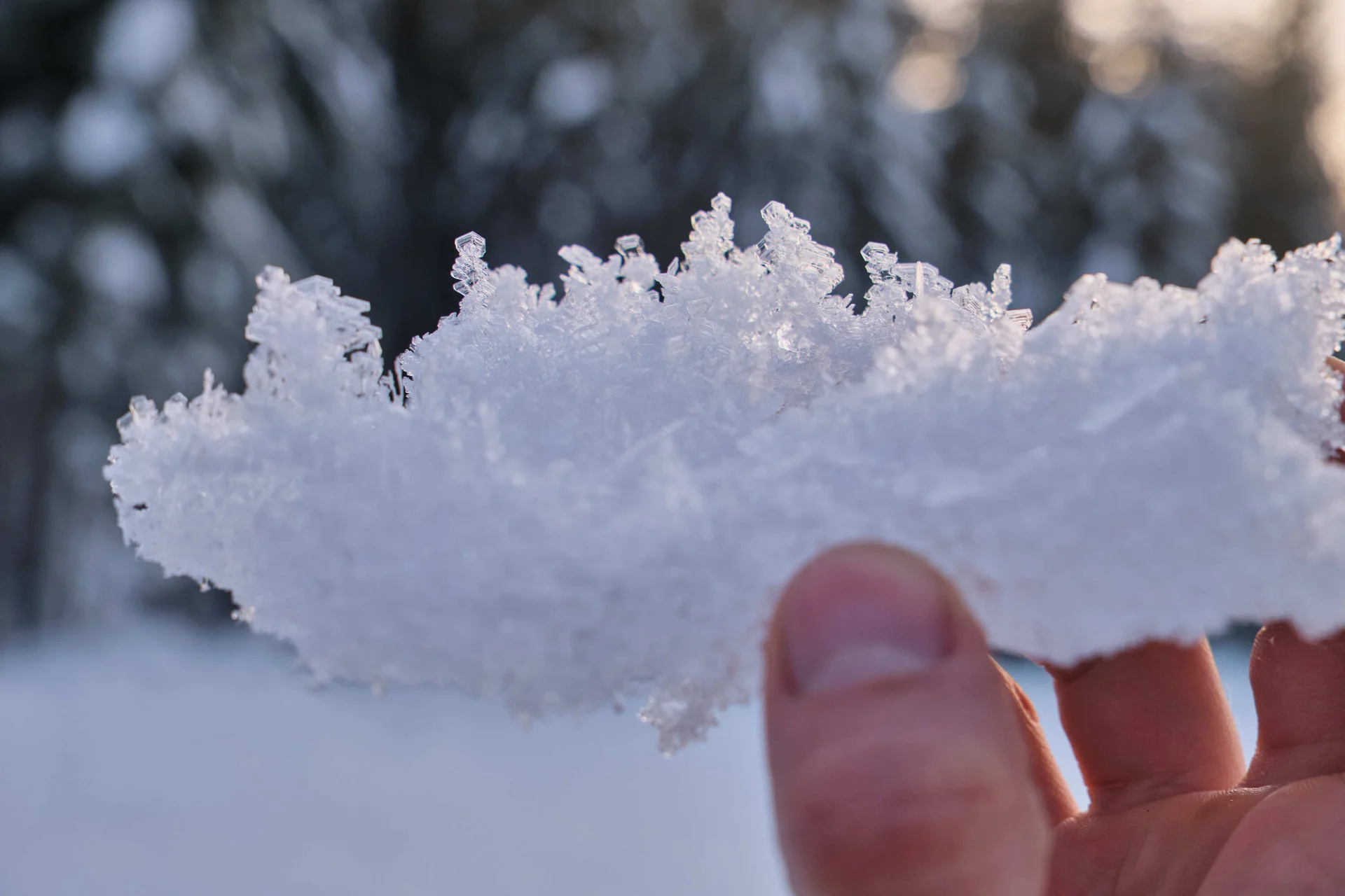 Eisklettern Karwendel | © Benedikt Rauh
