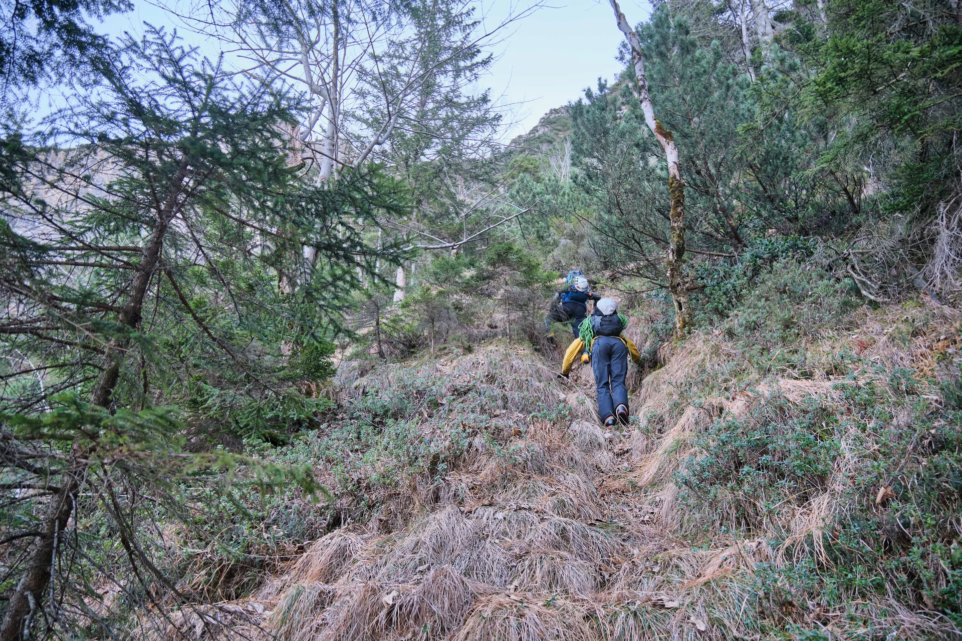 Eisklettern Karwendel | © Benedikt Rauh