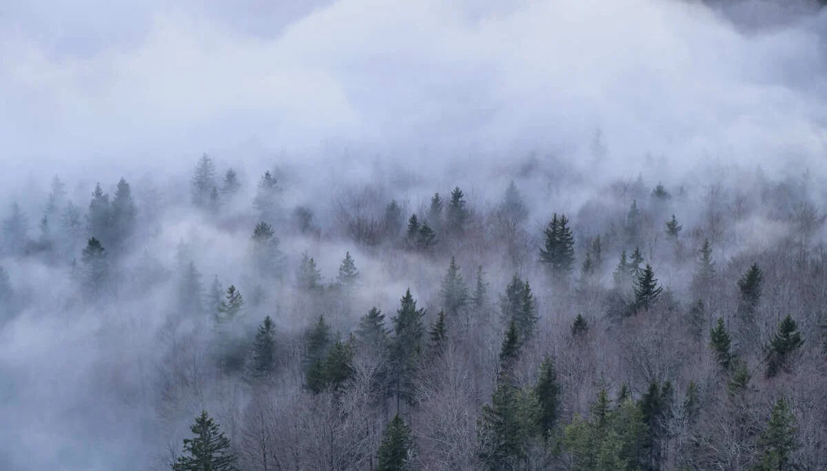 Eisklettern Karwendel | © Benedikt Rauh