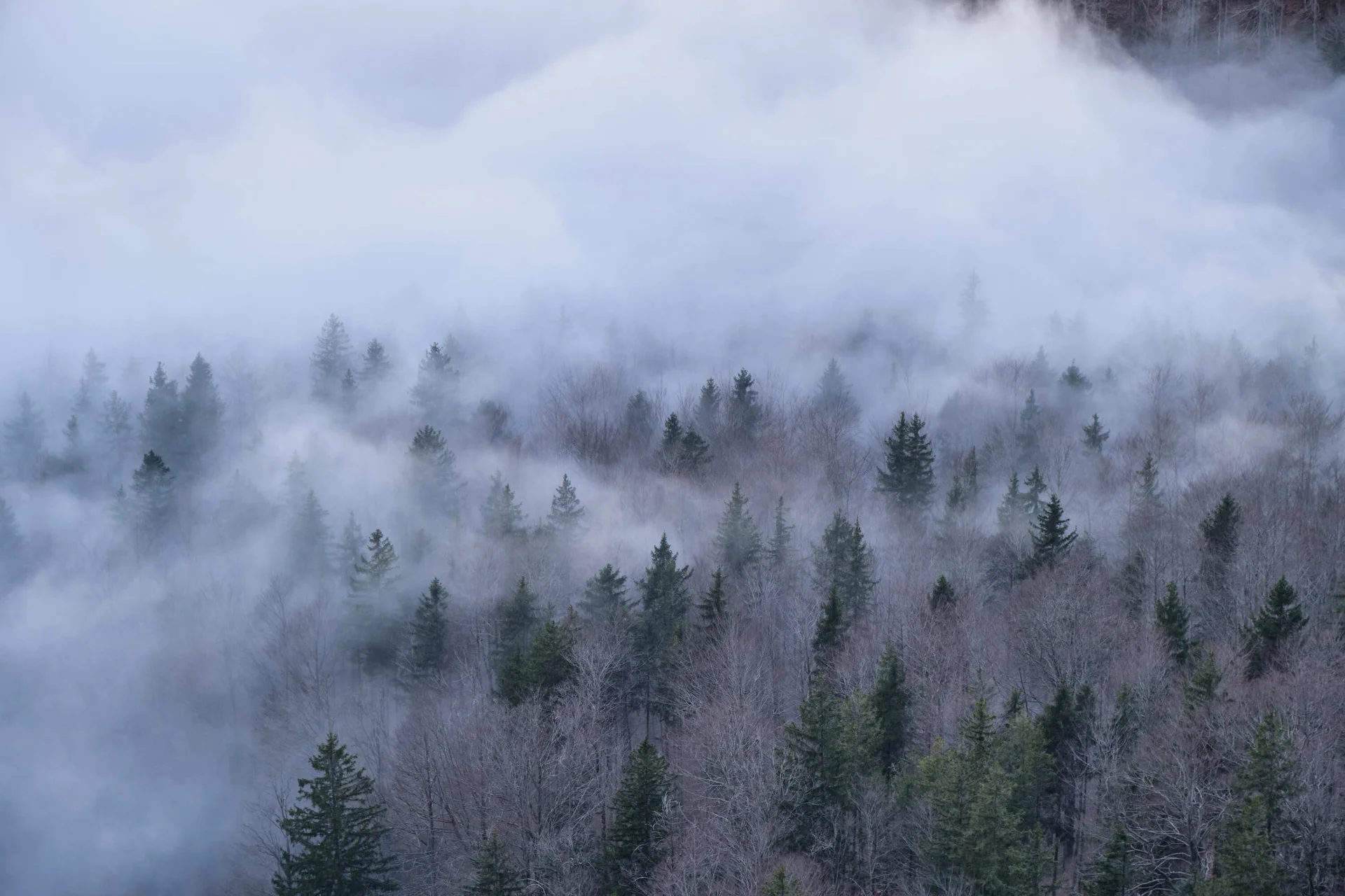 Eisklettern Karwendel | © Benedikt Rauh
