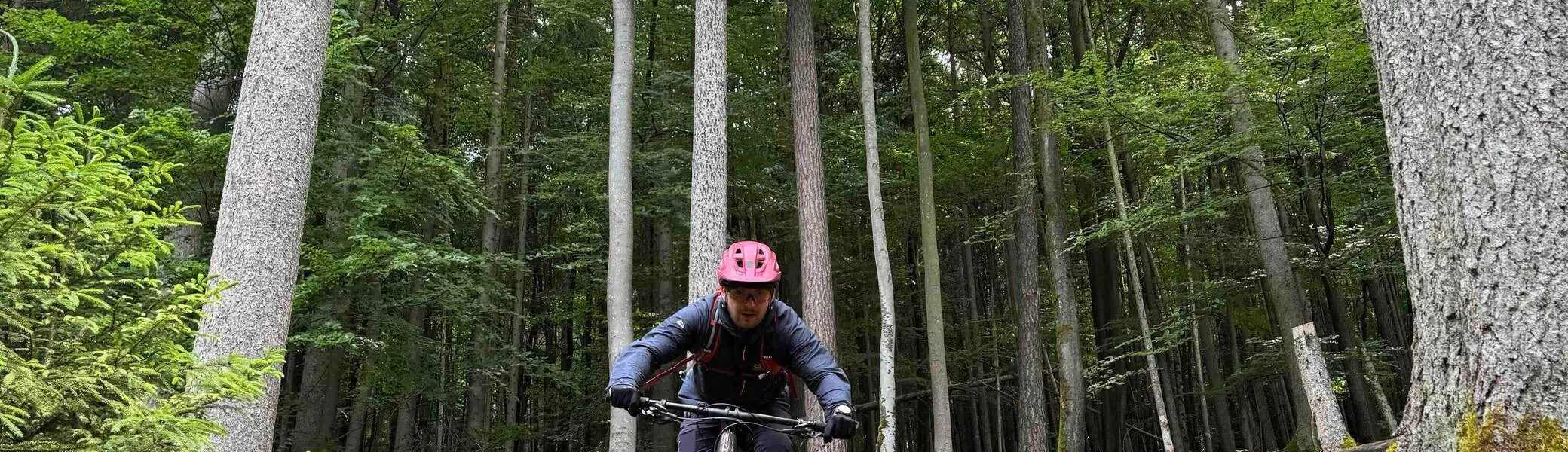 Bild_MöWa_3 | © Daniel Schrödel