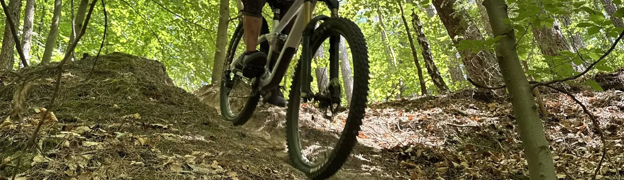 Bild_Bierstadt_2 | © Daniel Schrödel