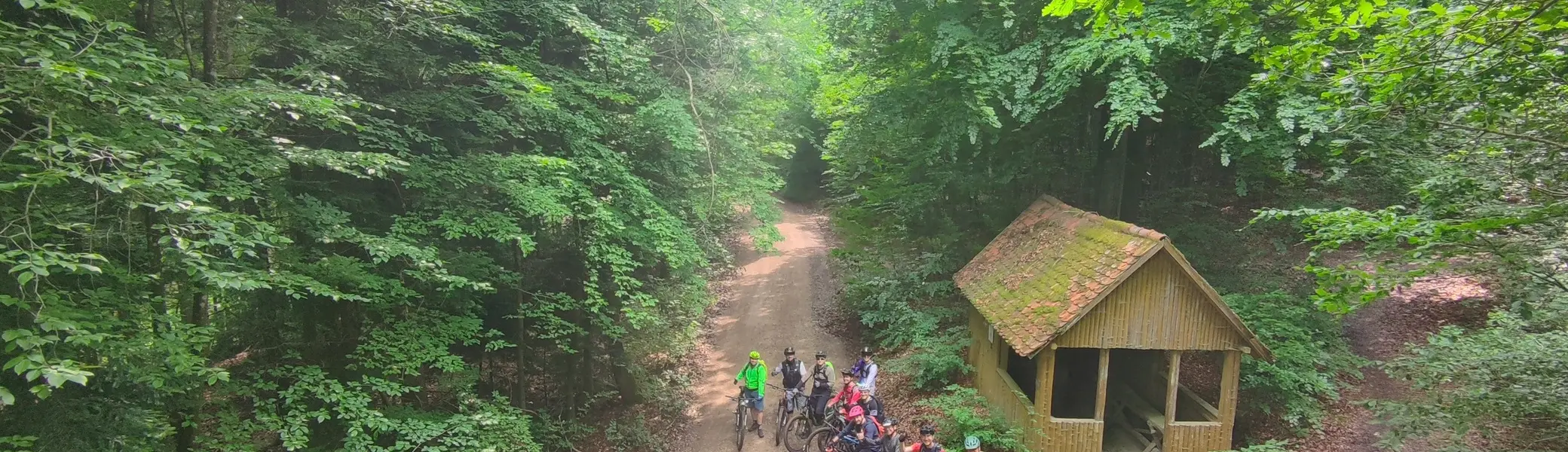 Bild_MöWa_2 | © Sebastian Jany