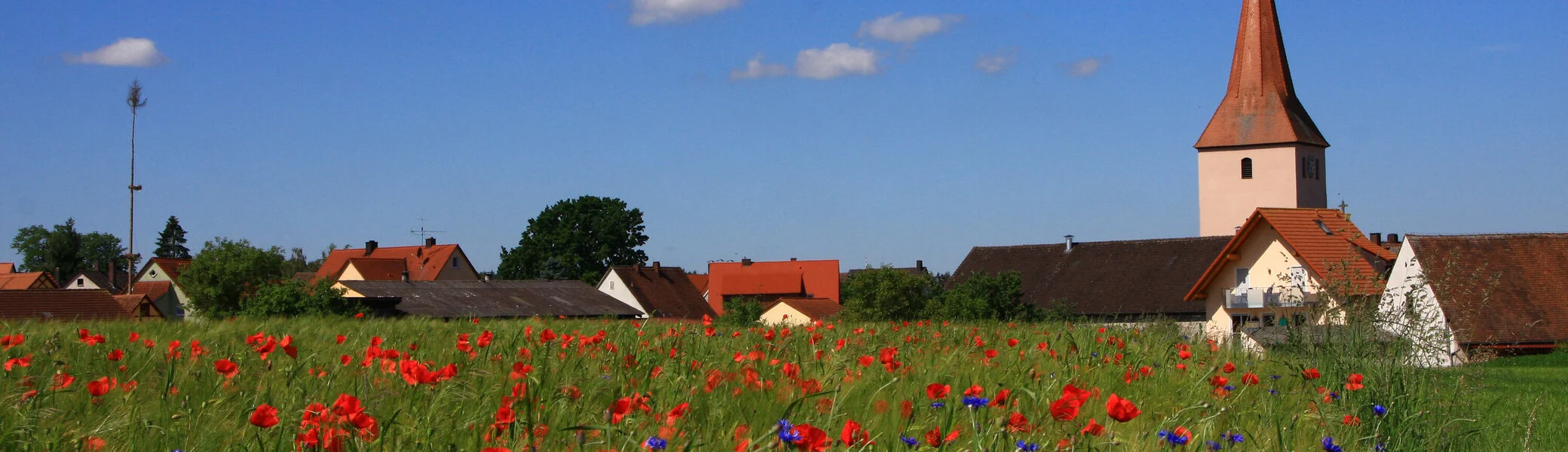 © Gerhard Seefelder