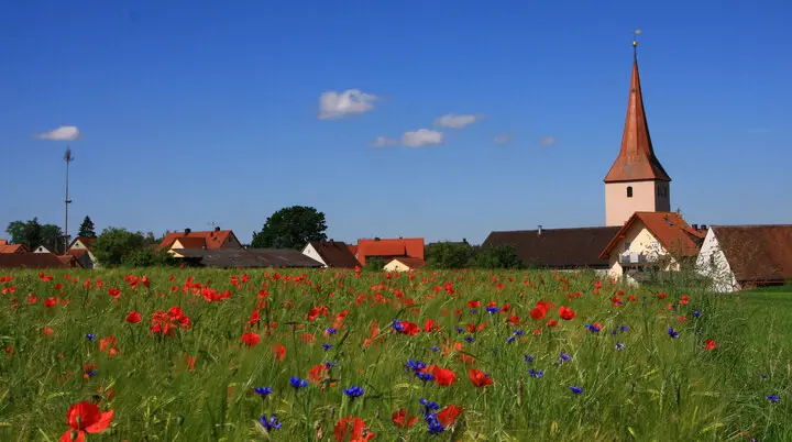 © Gerhard Seefelder