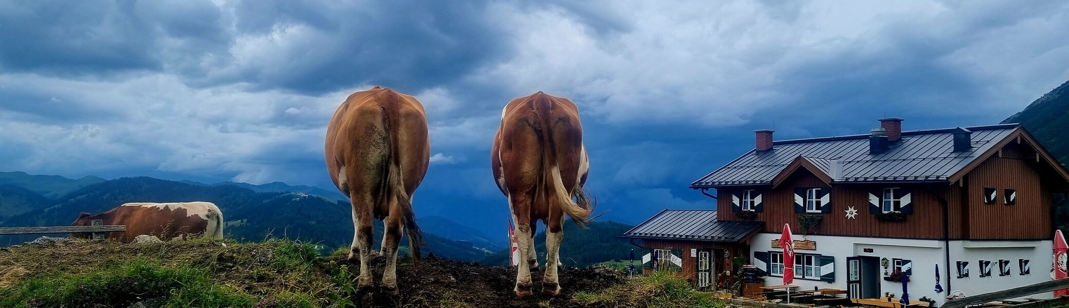 © Thomas Renger