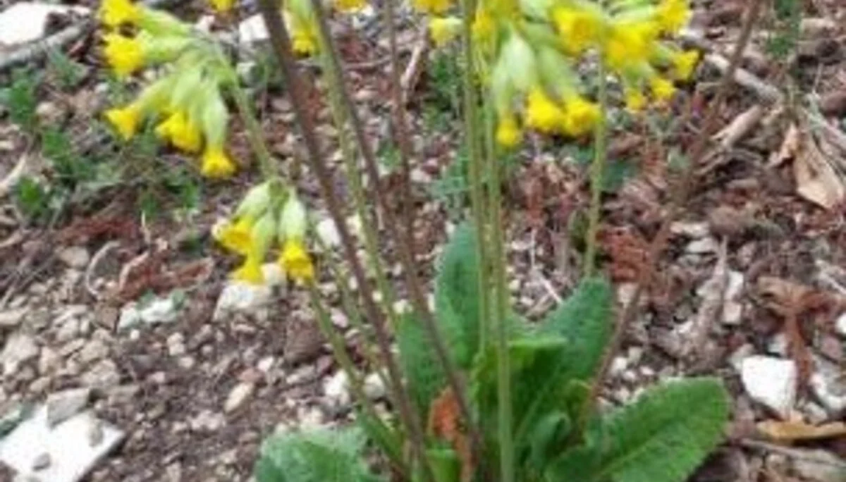 © DAV Schwabach Ortsgruppe Schwanstetten