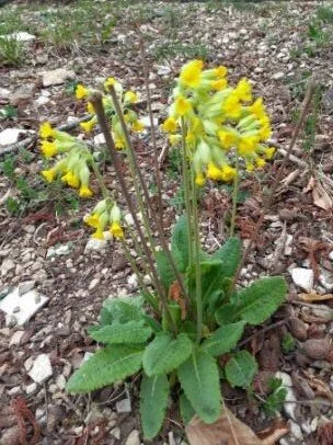 © DAV Schwabach Ortsgruppe Schwanstetten