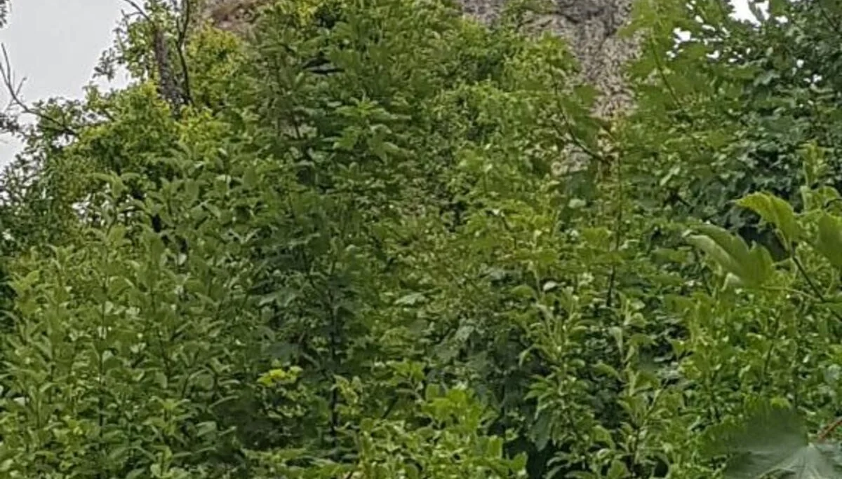 © DAV Schwabach Ortsgruppe Schwanstetten