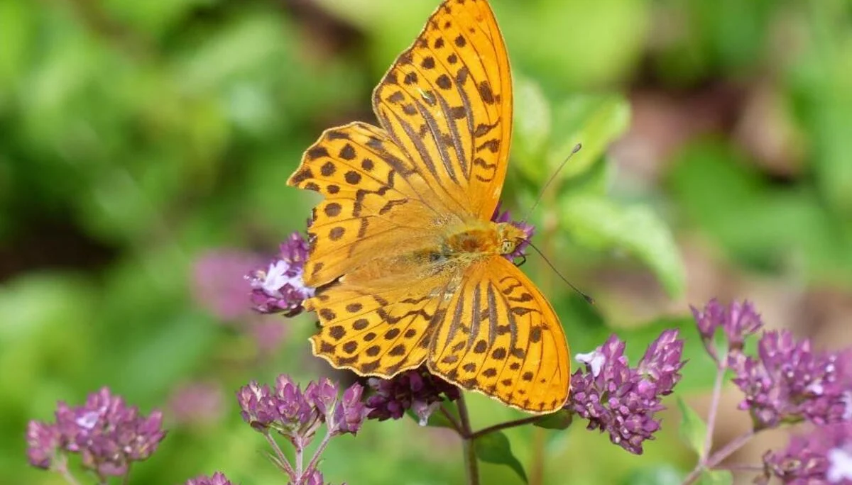 © DAV Schwabach Ortsgruppe Schwanstetten