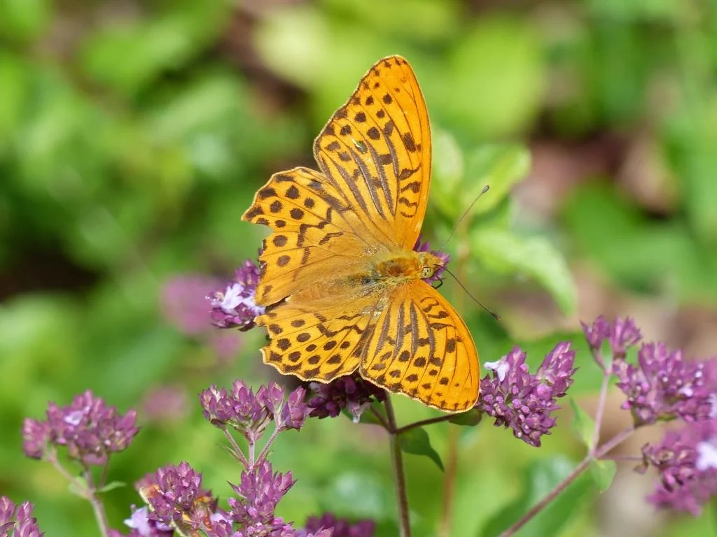 © DAV Schwabach Ortsgruppe Schwanstetten