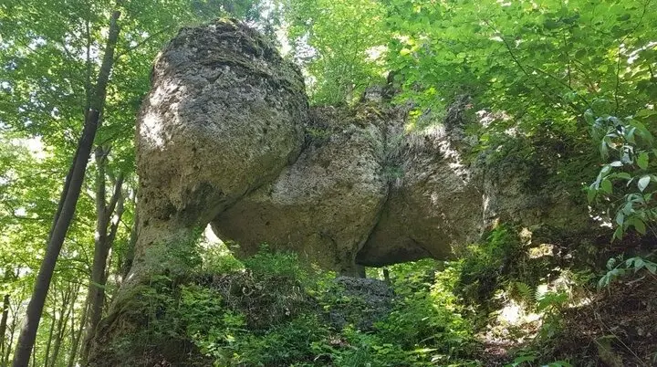 © DAV Schwabach Ortsgruppe Schwanstetten