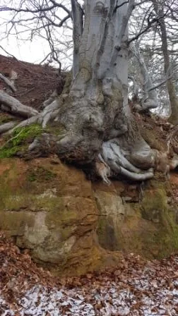 © DAV Schwabach Ortsgruppe Schwanstetten