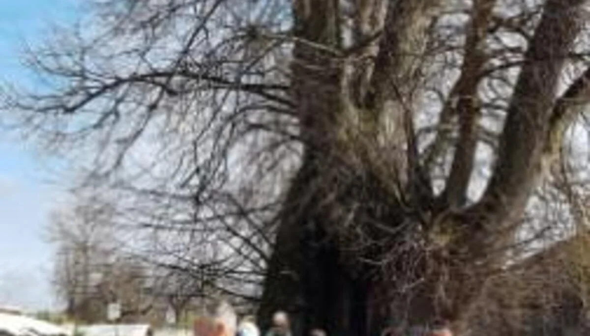 © DAV Schwabach Ortsgruppe Schwanstetten