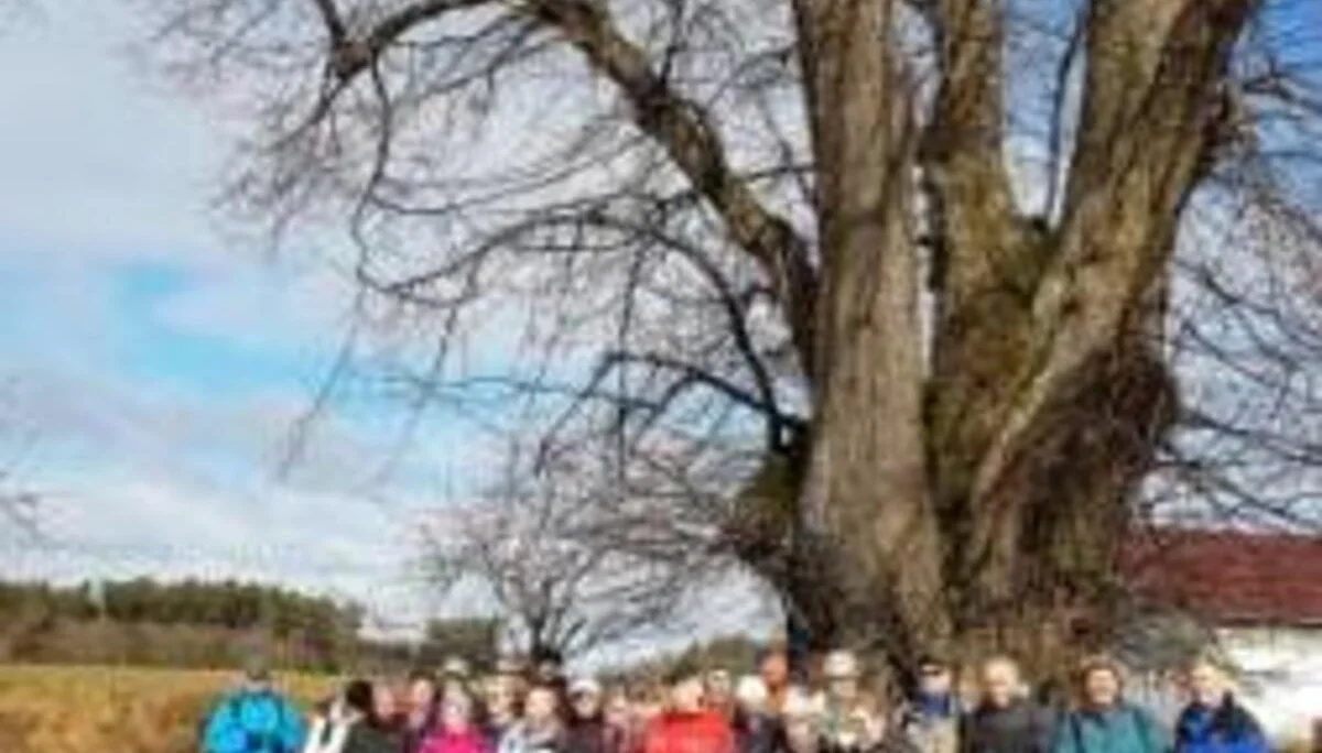 © DAV Schwabach Ortsgruppe Schwanstetten