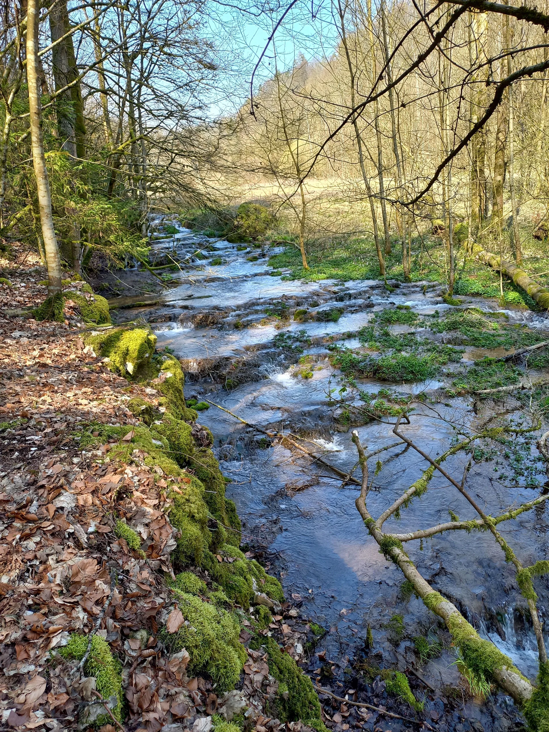 © DAV Schwabach Ortsgruppe Schwanstetten