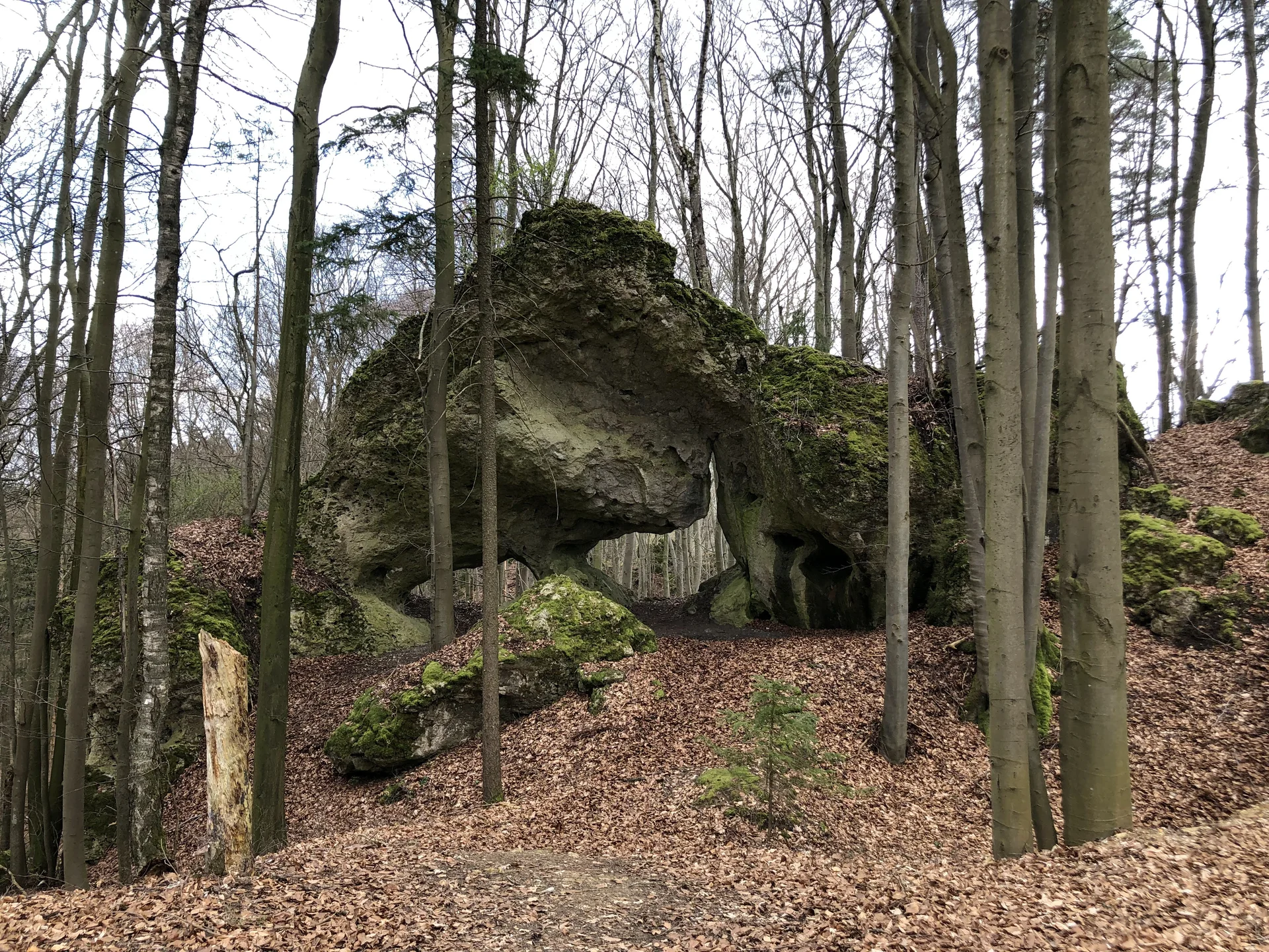 © DAV Schwabach, Ortsgruppe Schwanstetten