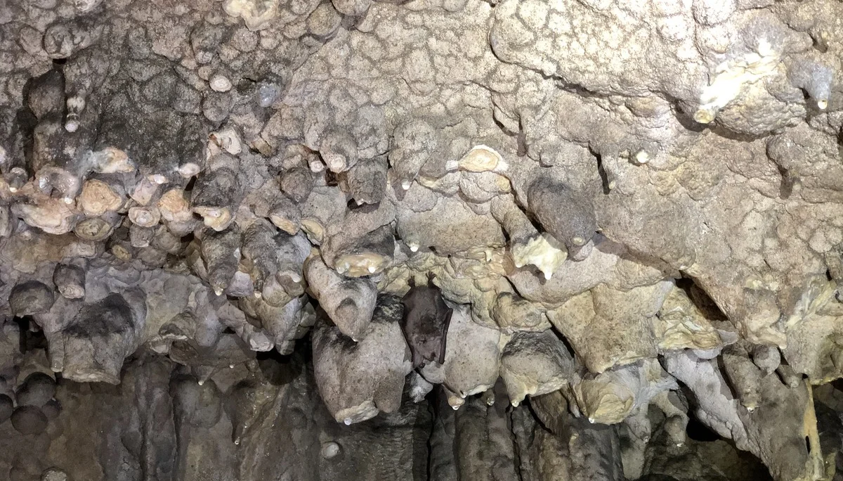 © DAV Schwabach, Ortsgruppe Schwanstetten