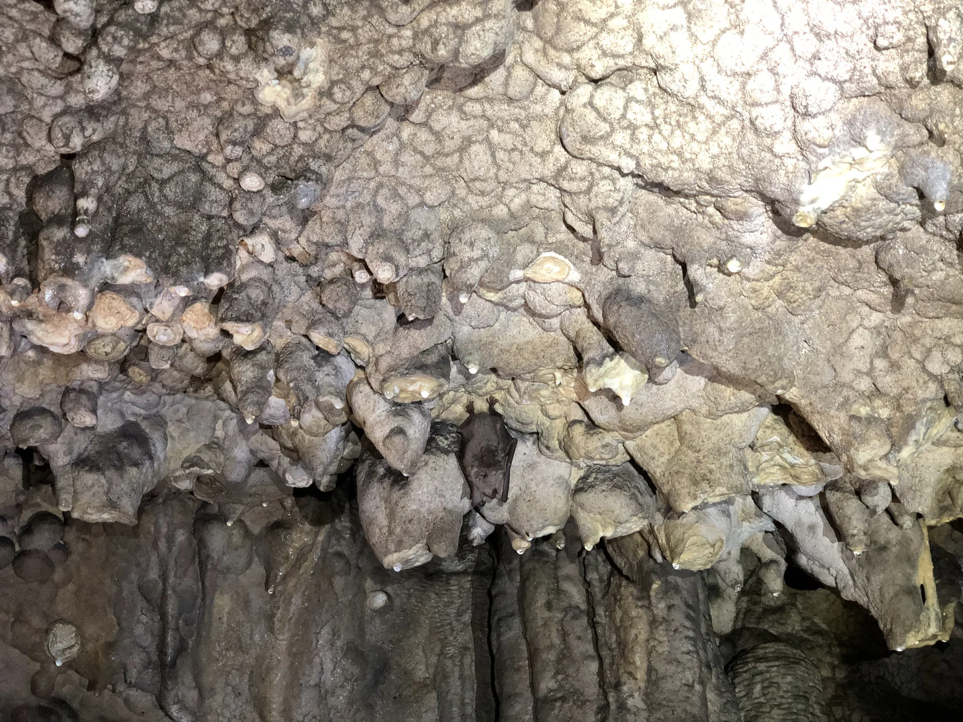 © DAV Schwabach, Ortsgruppe Schwanstetten