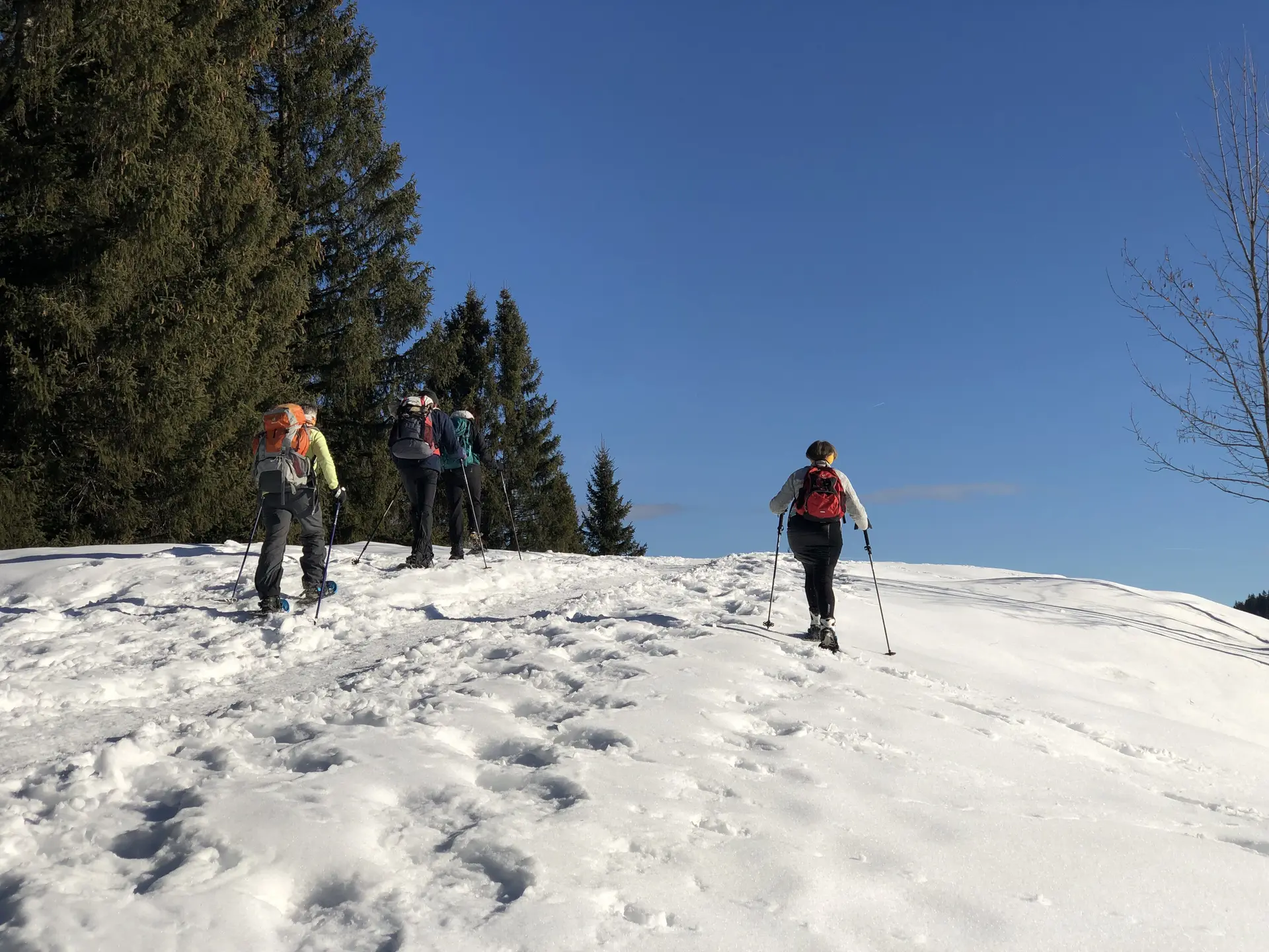 © DAV Schwabach, Ortsgruppe Schwanstetten