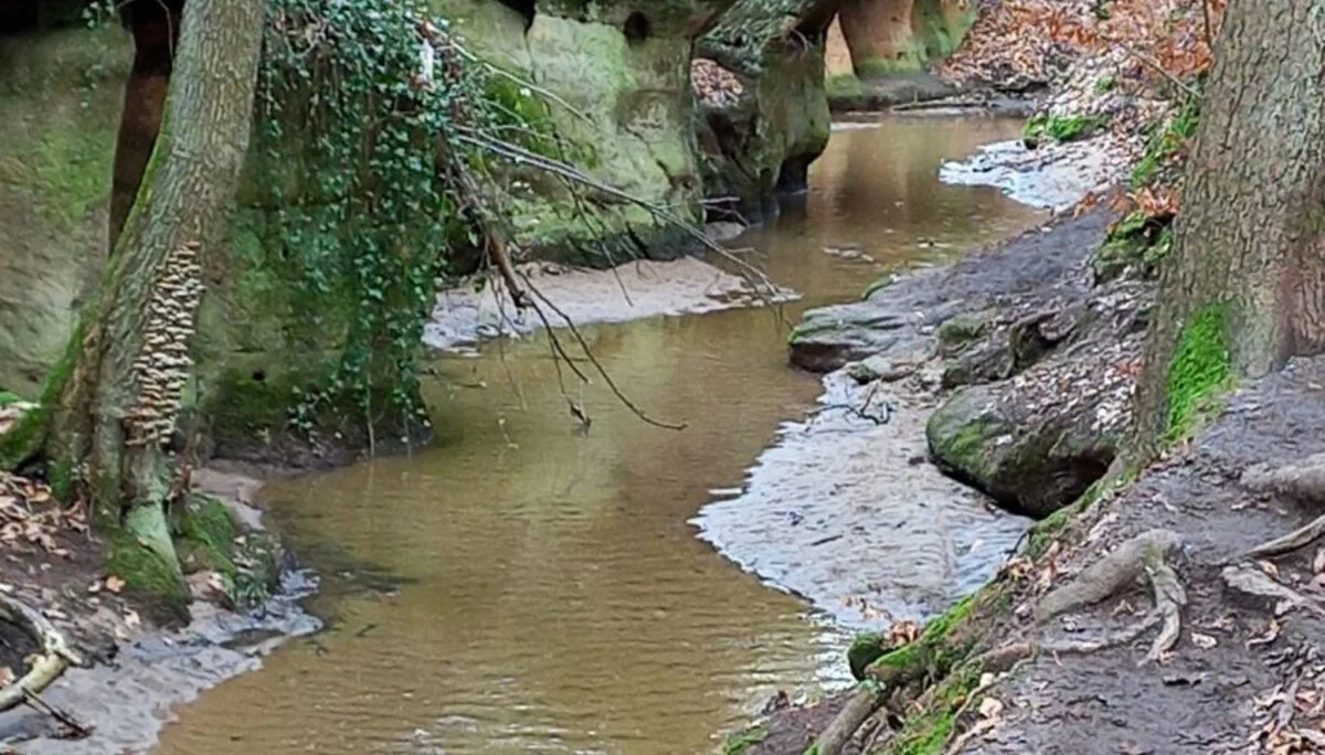 © DAV Schwabach, Ortsgruppe Schwanstetten