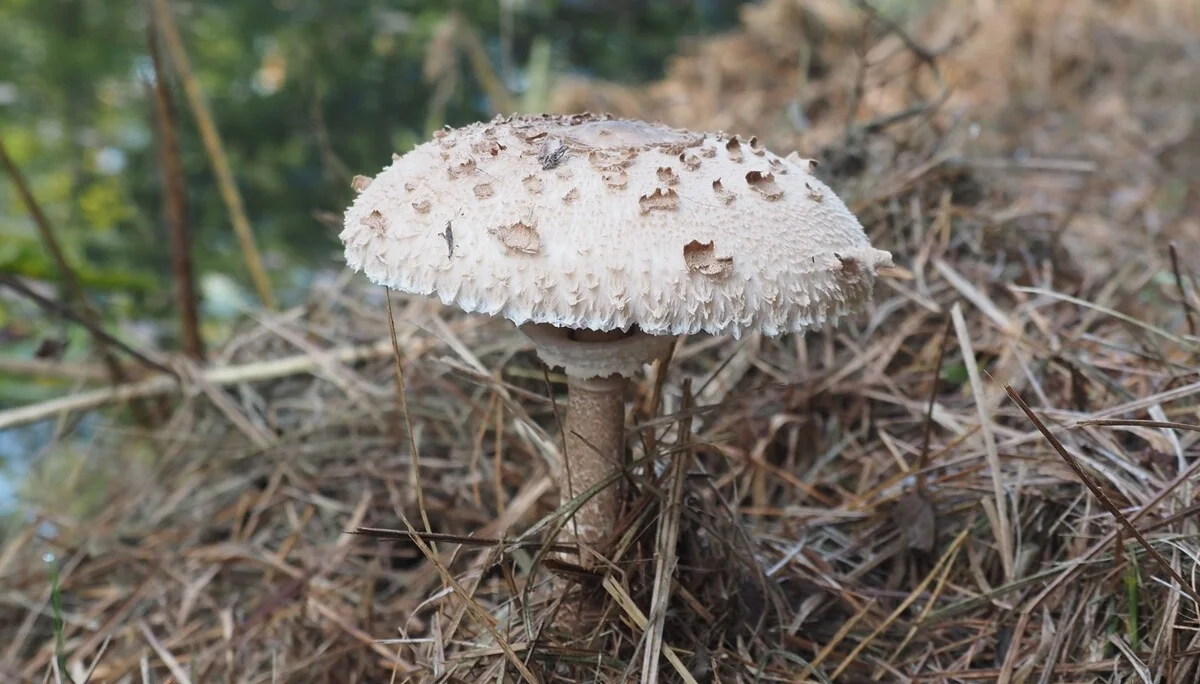 © DAV Schwabach Ortsgruppe Schwanstetten