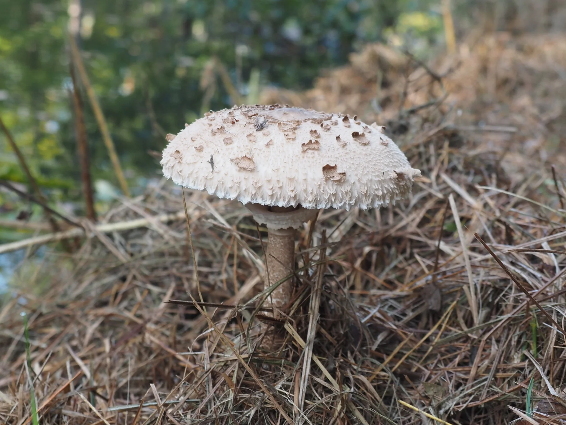 © DAV Schwabach Ortsgruppe Schwanstetten