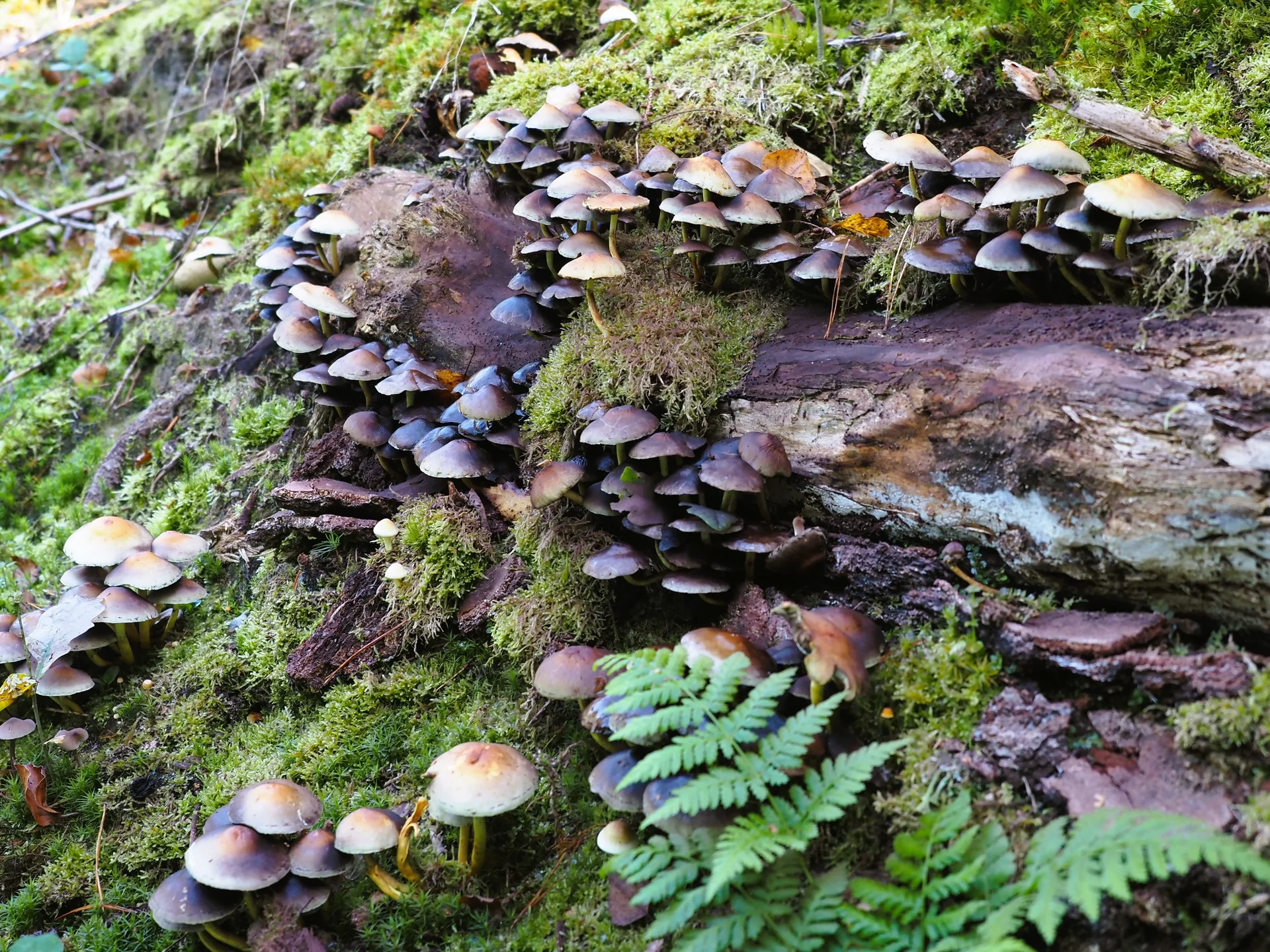 © DAV Schwabach Ortsgruppe Schwanstetten