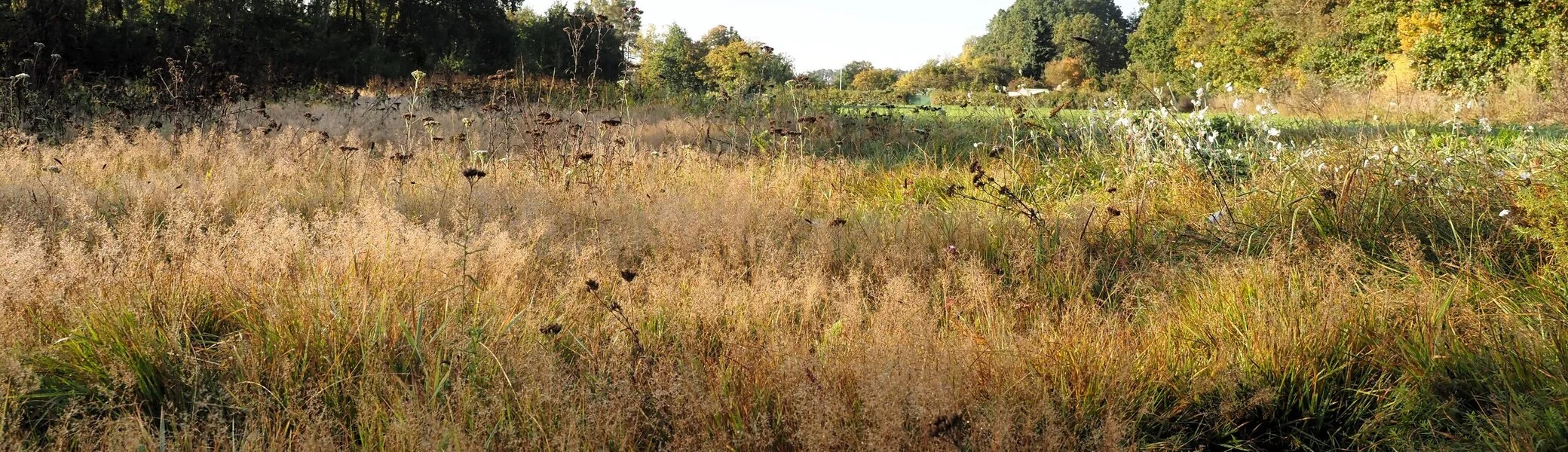 © DAV Schwabach Ortsgruppe Schwanstetten