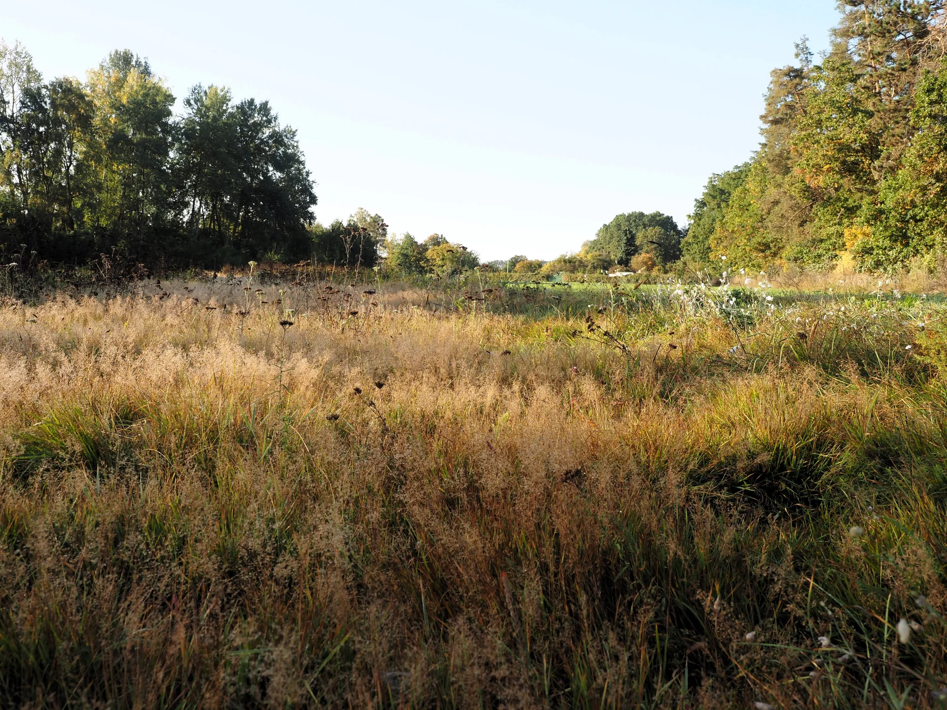 © DAV Schwabach Ortsgruppe Schwanstetten