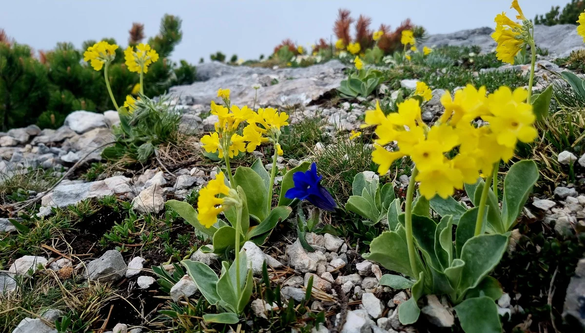 © DAV Schwabach Ortsgruppe Schwanstetten