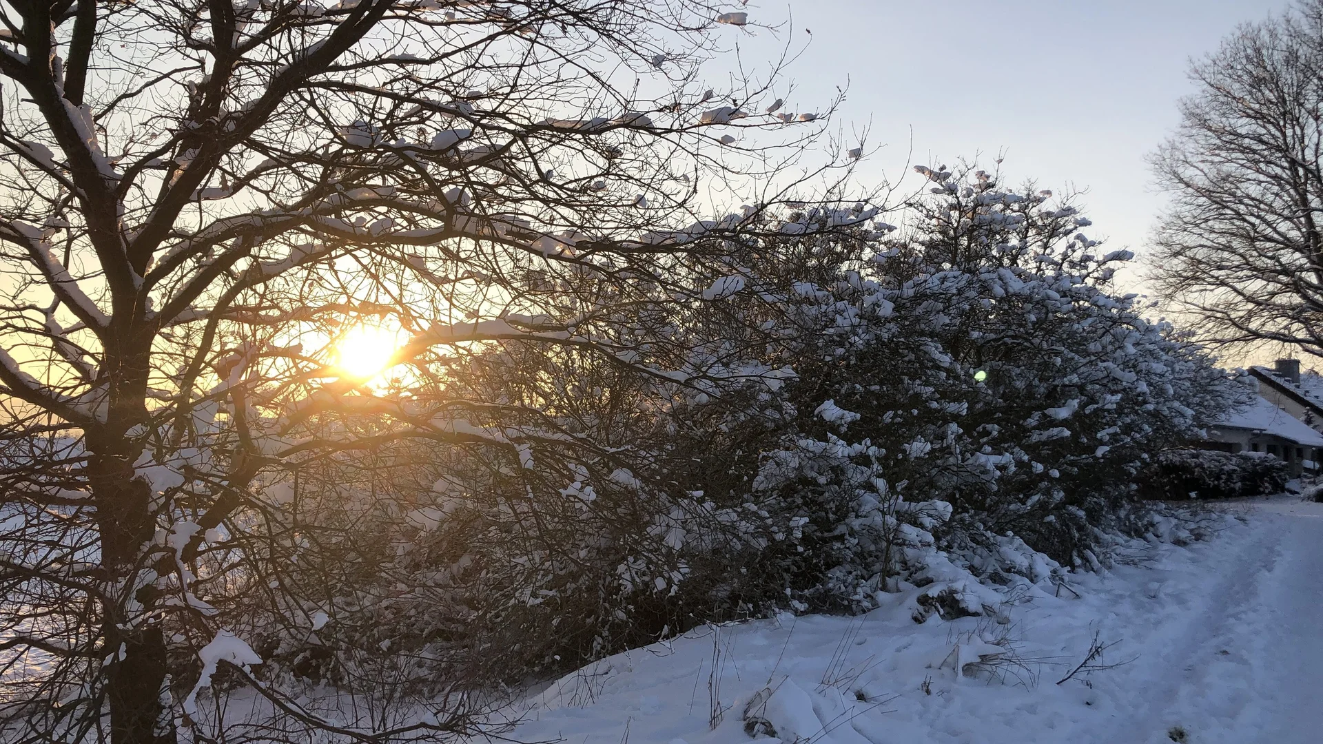 © Jens Klöcker © Jens Klöcker