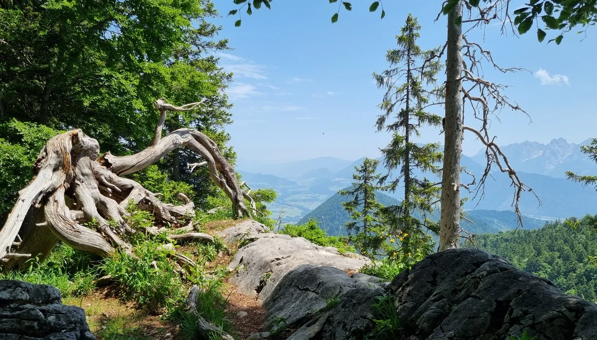 © DAV Schwabach Ortsgruppe Schwanstetten