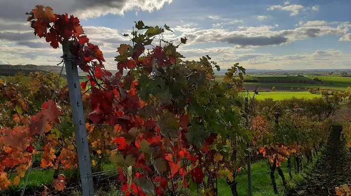 © DAV Schwabach Ortsgruppe Schwanstetten