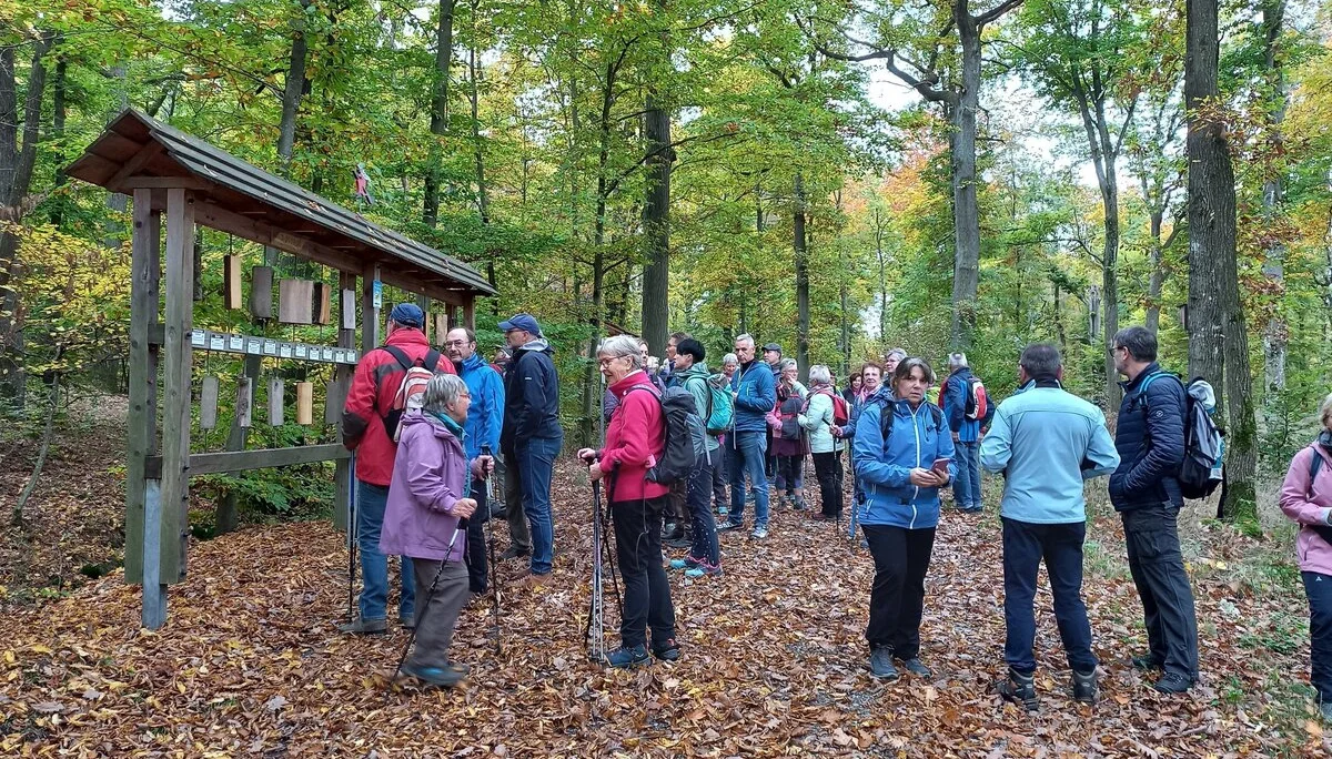 © DAV Schwabach Ortsgruppe Schwanstetten