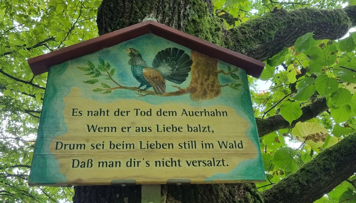 © DAV Schwabach Ortsgruppe Schwanstetten