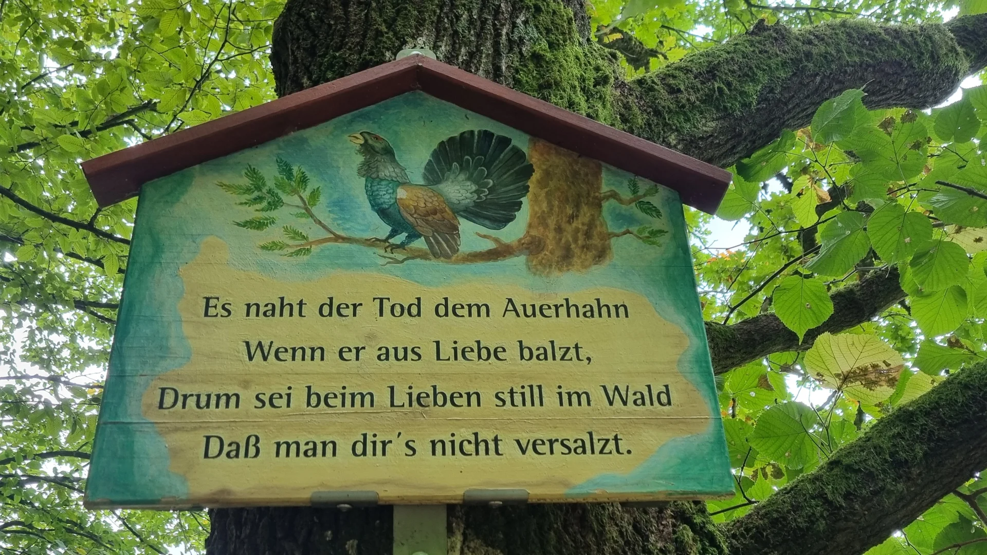 © DAV Schwabach Ortsgruppe Schwanstetten